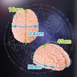 Masturbador Cerebro Brain Hacker DX 1,2 kg - Imagen 4