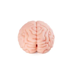 Masturbador Cerebro Brain Hacker DX 1,2 kg - Imagen 7