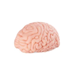 Masturbador Cerebro Brain Hacker DX 1,2 kg - Imagen 8