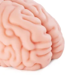 Masturbador Cerebro Brain Hacker DX 1,2 kg - Imagen 10