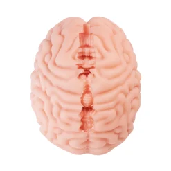 Masturbador Cerebro Brain Hacker DX 1,2 kg - Imagen 11